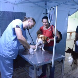Com emendas de Marcio Pacheco, CastraPet realiza a castração de 519 animais