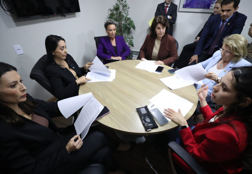 Comissão de Defesa da Mulher aprova projeto que obriga hospitais, clínicas e maternidades a divulgarem informações sobre casos de aborto